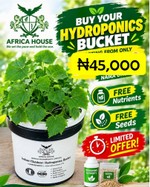 Hydroponics Bucket HB6P